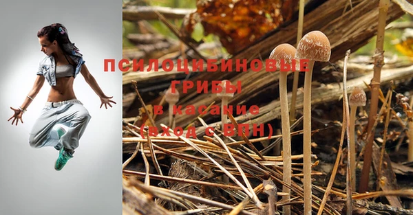 дистиллят марихуана Медногорск