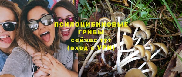 ешки Одинцово