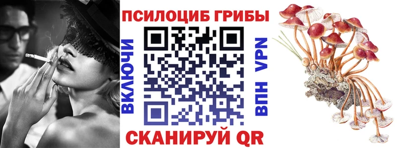 Псилоцибиновые грибы прущие грибы  Чегем 